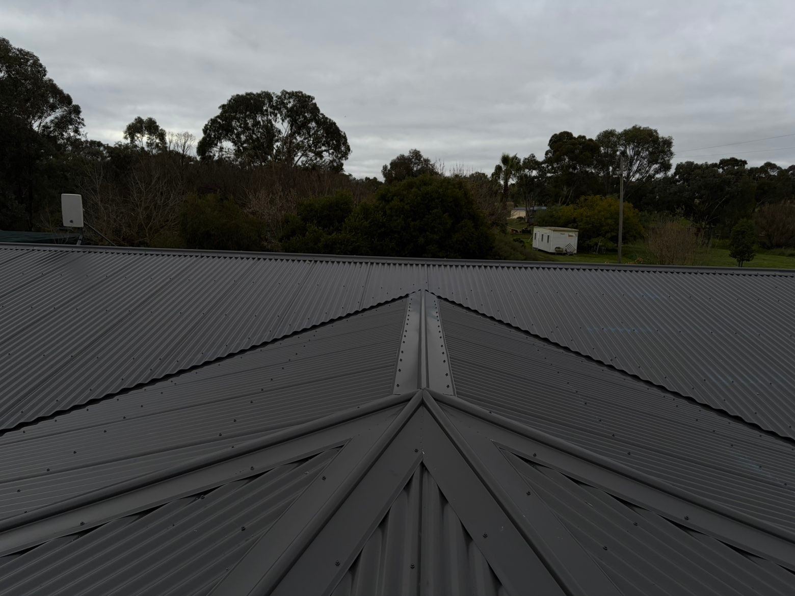 Hip capping meeting at the ridge on a charcoal corrugated metal roof, with gum trees behind